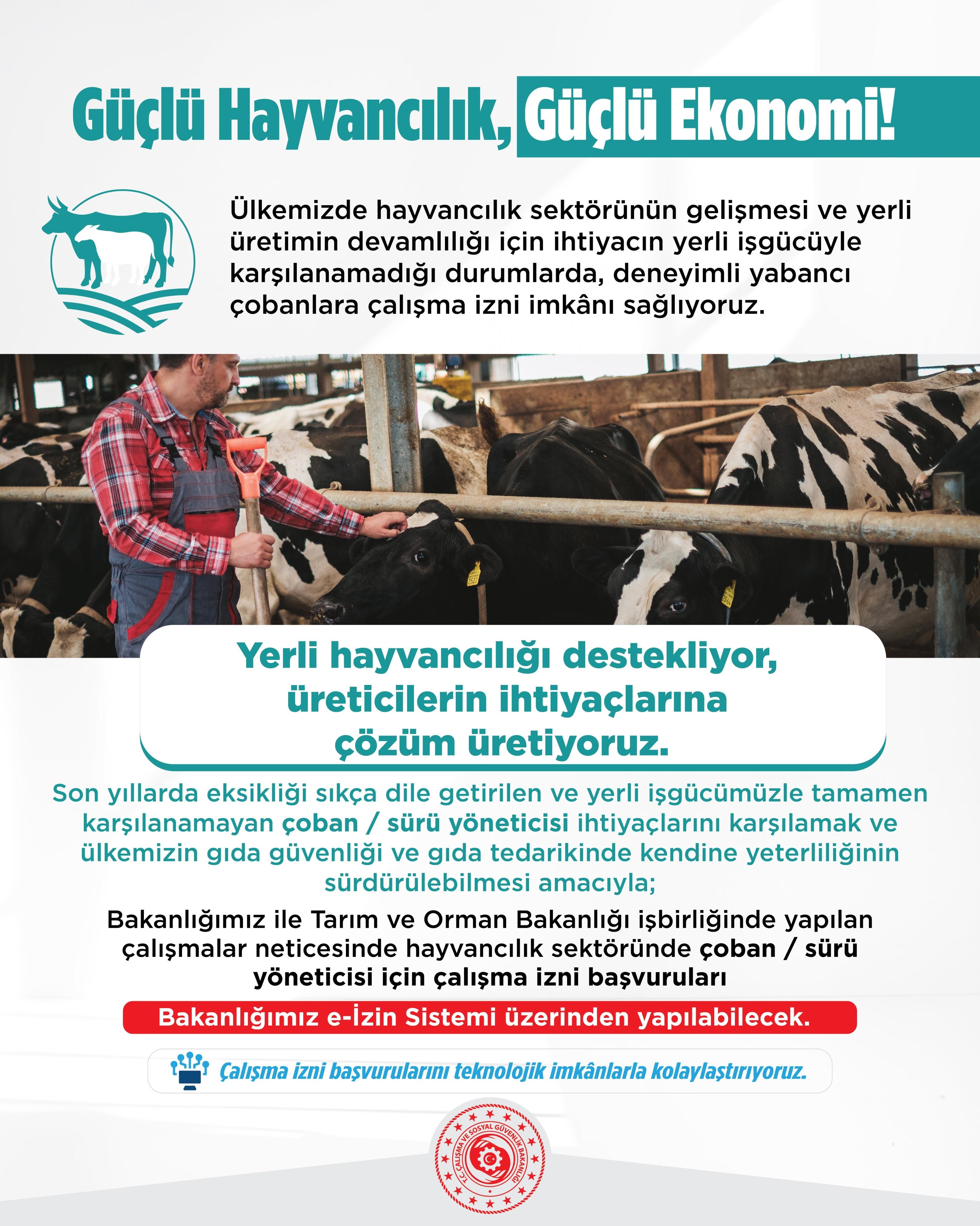 Yabancı Çoban