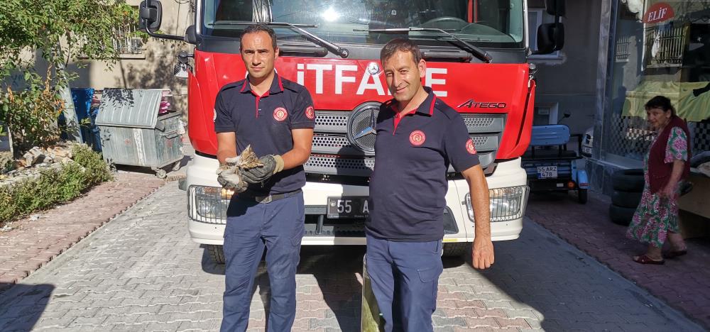 Aracın Altına Sıkışan Yavru Kedi Kurtarıldı (1)