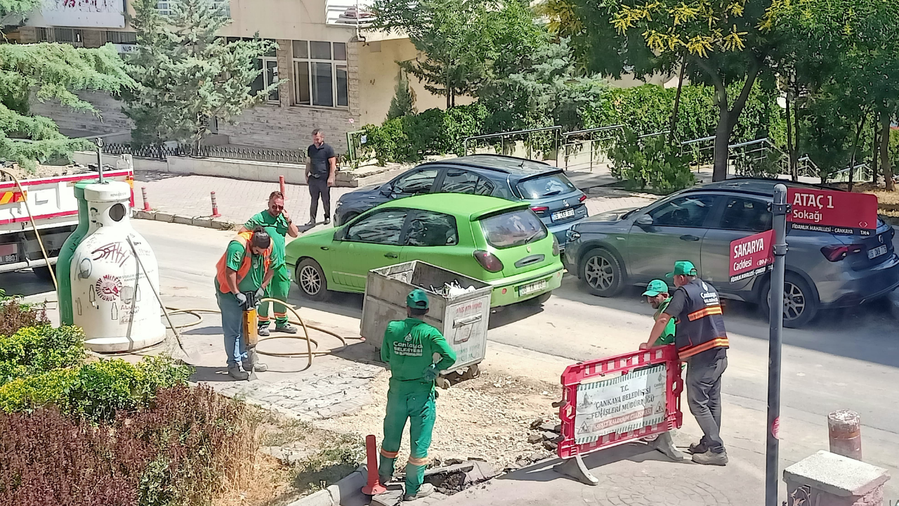 Belediye Kökünden Kestiği Ağaçların Yerini Kaldırıma Dönüştürdü (1)