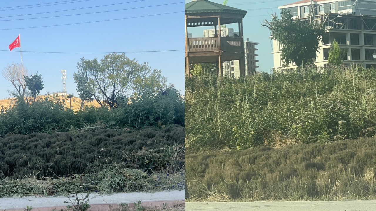 Keçiören'e Yakışmayan Görüntü! Simge Tesis Harabeye Döndü (2)