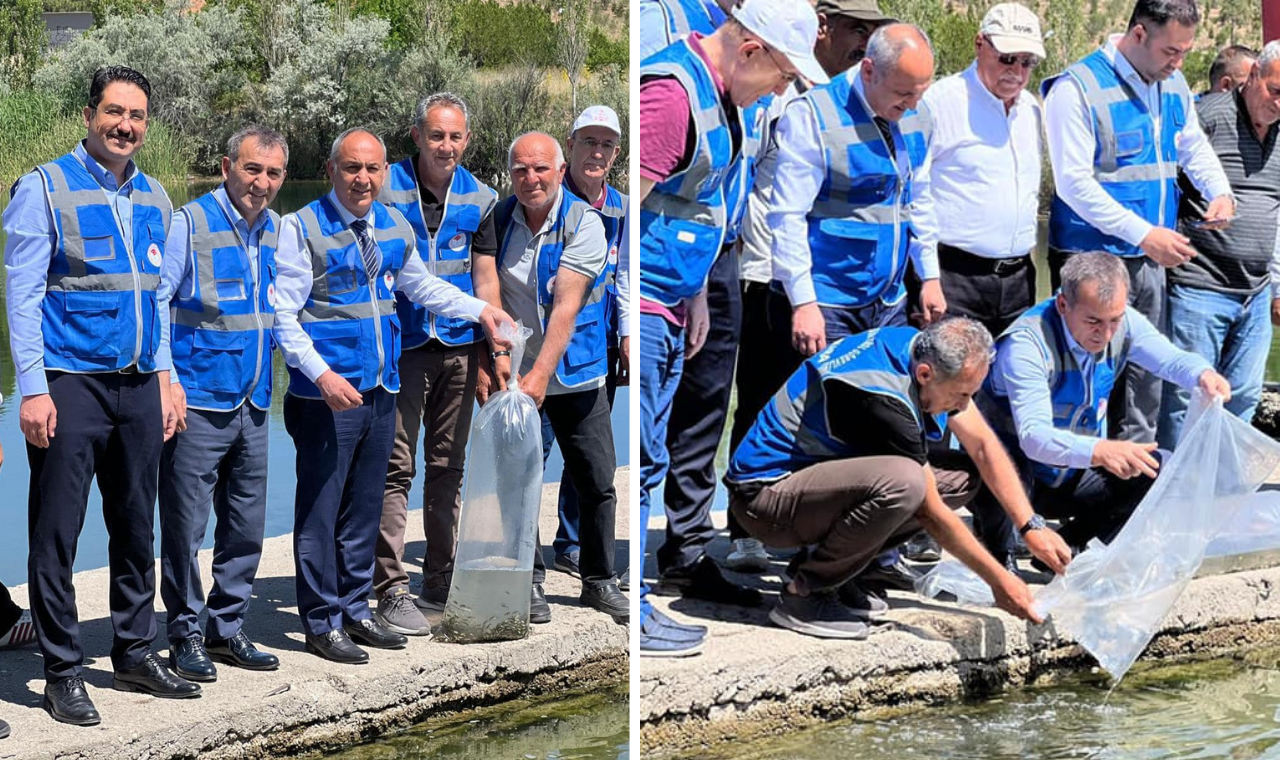 Kesikköprü Baraj Gölü’ne 250 Bin Sazan Balığı Yavrusu Bırakıldı1