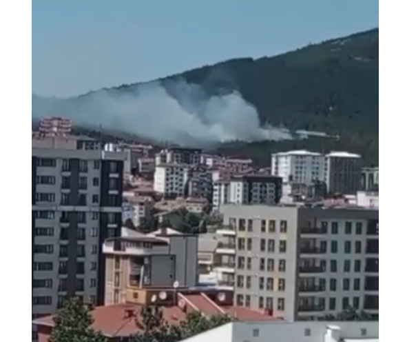 Pendik Yangın