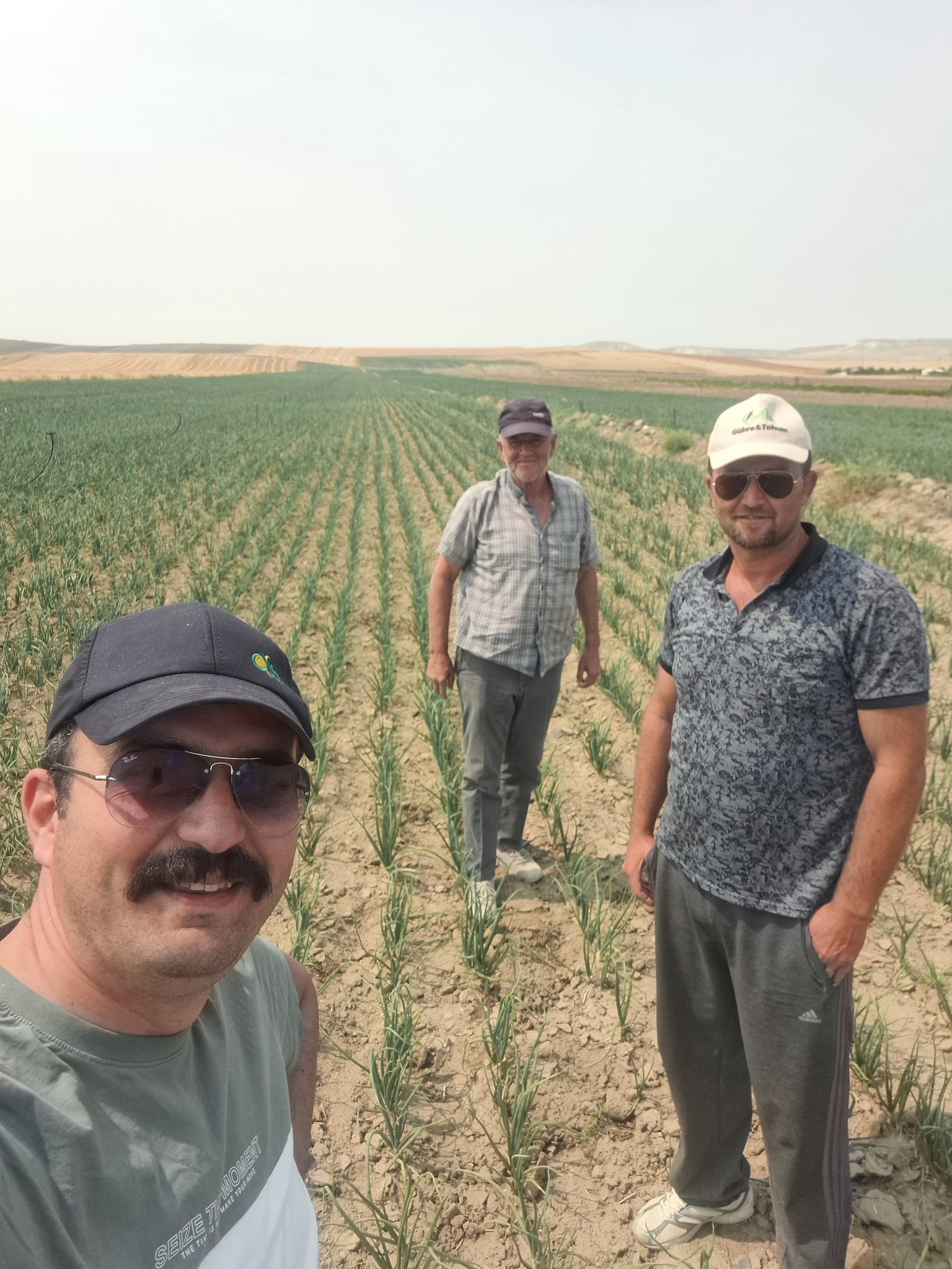 Şeker Pancarı 2