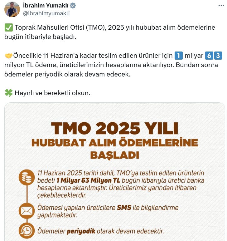 Tmo Ödeme