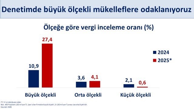 Vergi Denetimleri