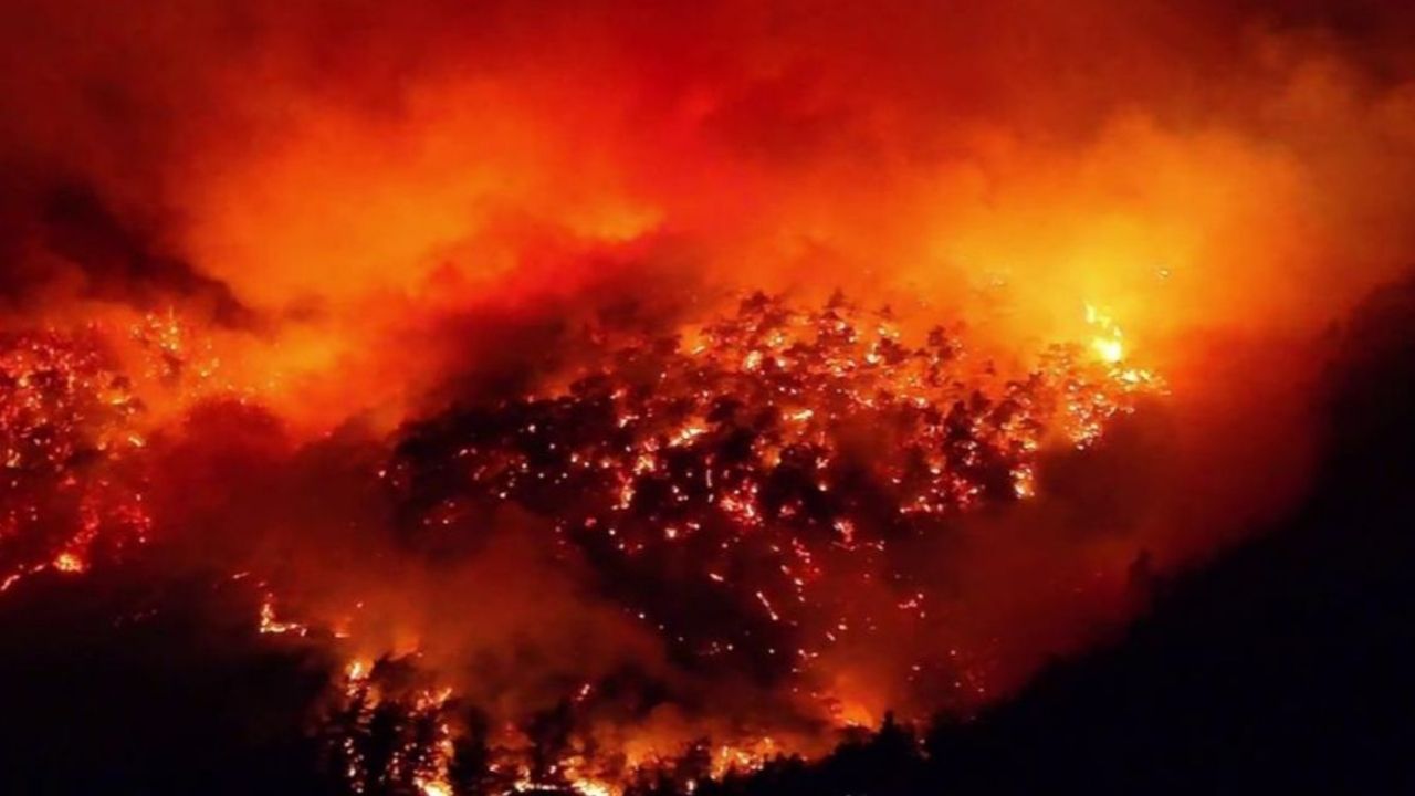 Orman yangınlarında ihmalkarlık: 7 gözaltı, 3 tutuklama
