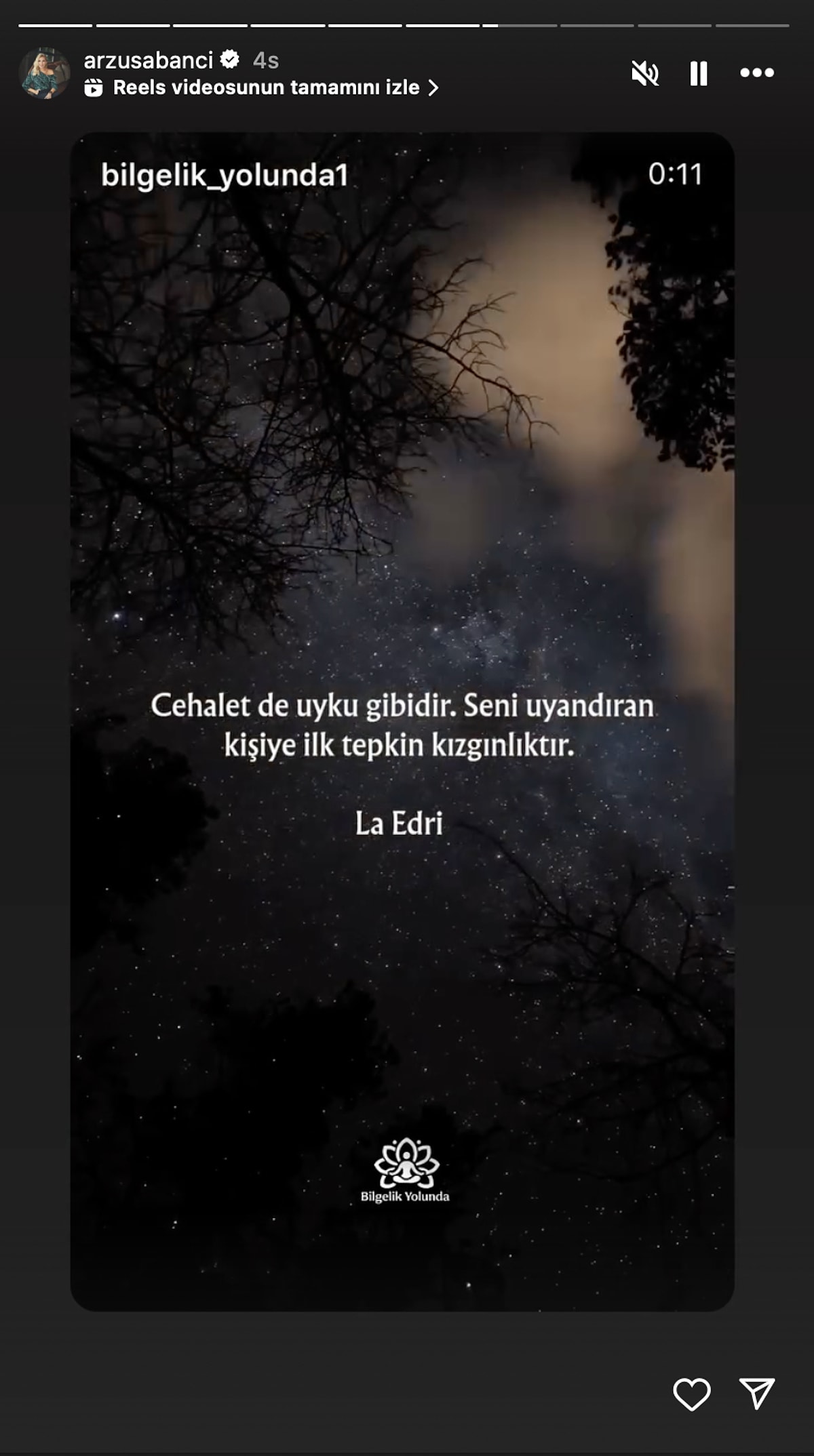 Arzu Sabancı Ayrılık