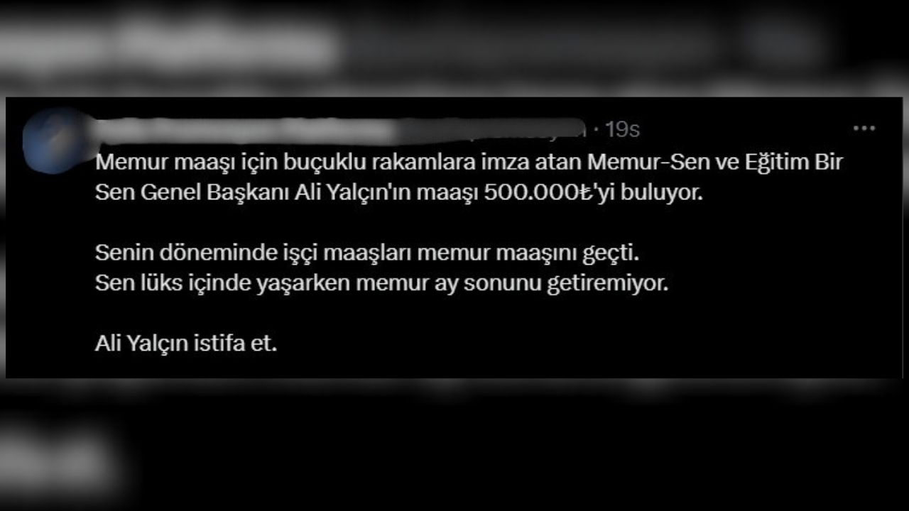 Bebek Robot (1)