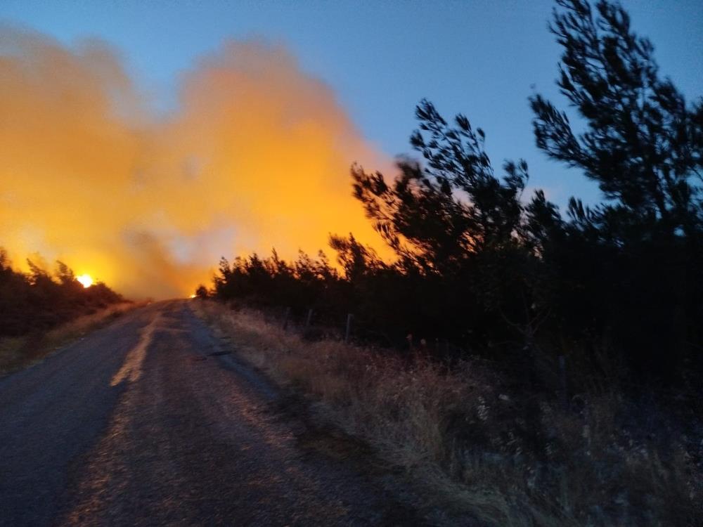 Çanakkale Yangın 3