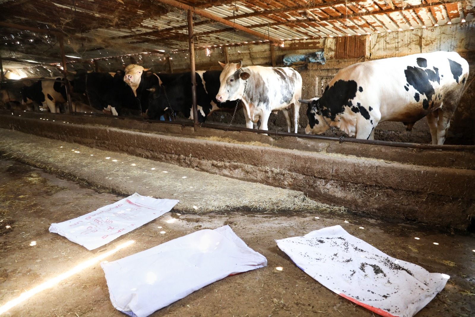 Etimesgut Belediyesinden Üreticilere Bilgilendirme Çalışması! (1)