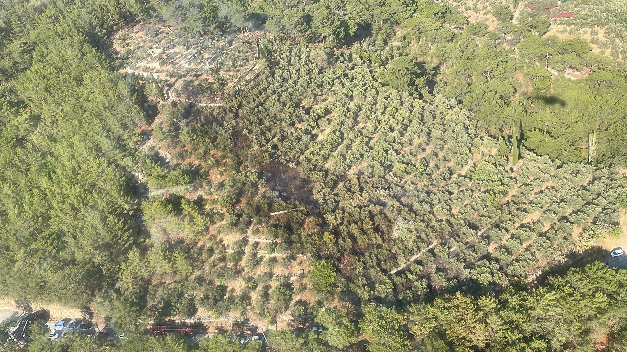 Kaz Dağları-1