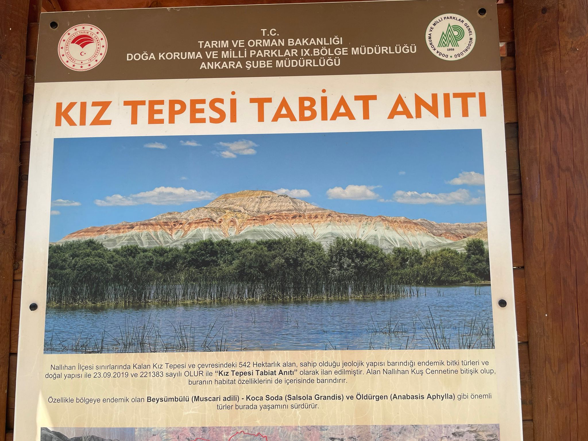 Kız Tepesi-1