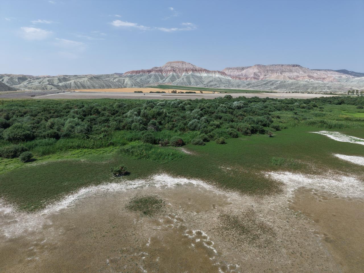 Nallıhan Kuş Cenneti-1