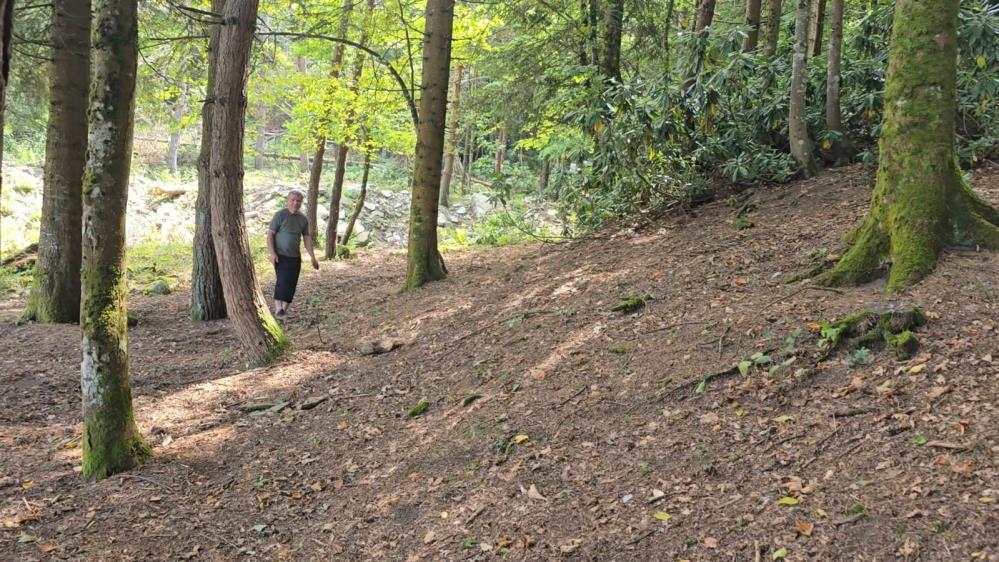 40 Yıl Önce Diktiği Fidanlar Orman Oldu (2)