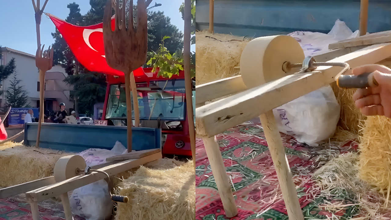 Aysun Kayacı
