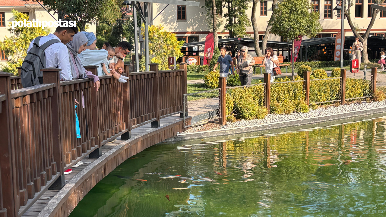 Başkentliler, Koi Balıklarını Görmek Için Saraçoğlu’na Akın Ediyor (2)