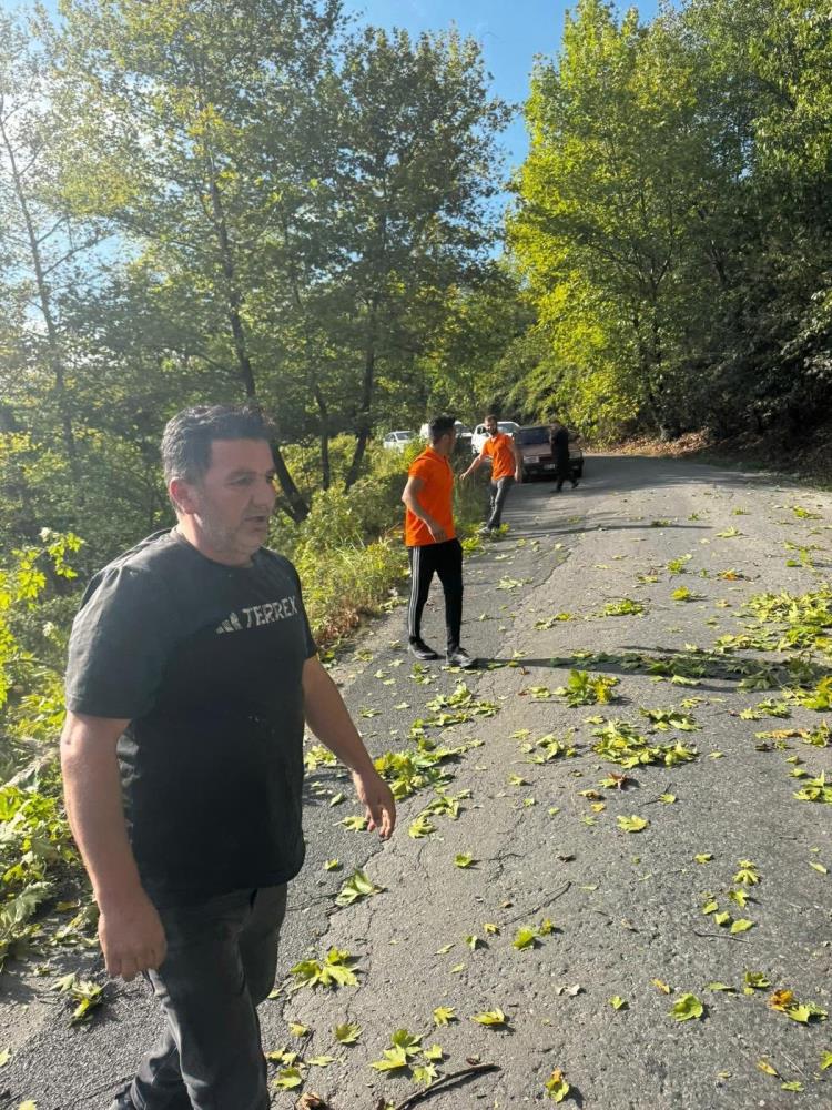 Devrilen Ağaç, Vatandaşların Yardımıyla Yoldan Kaldırıldı (2)