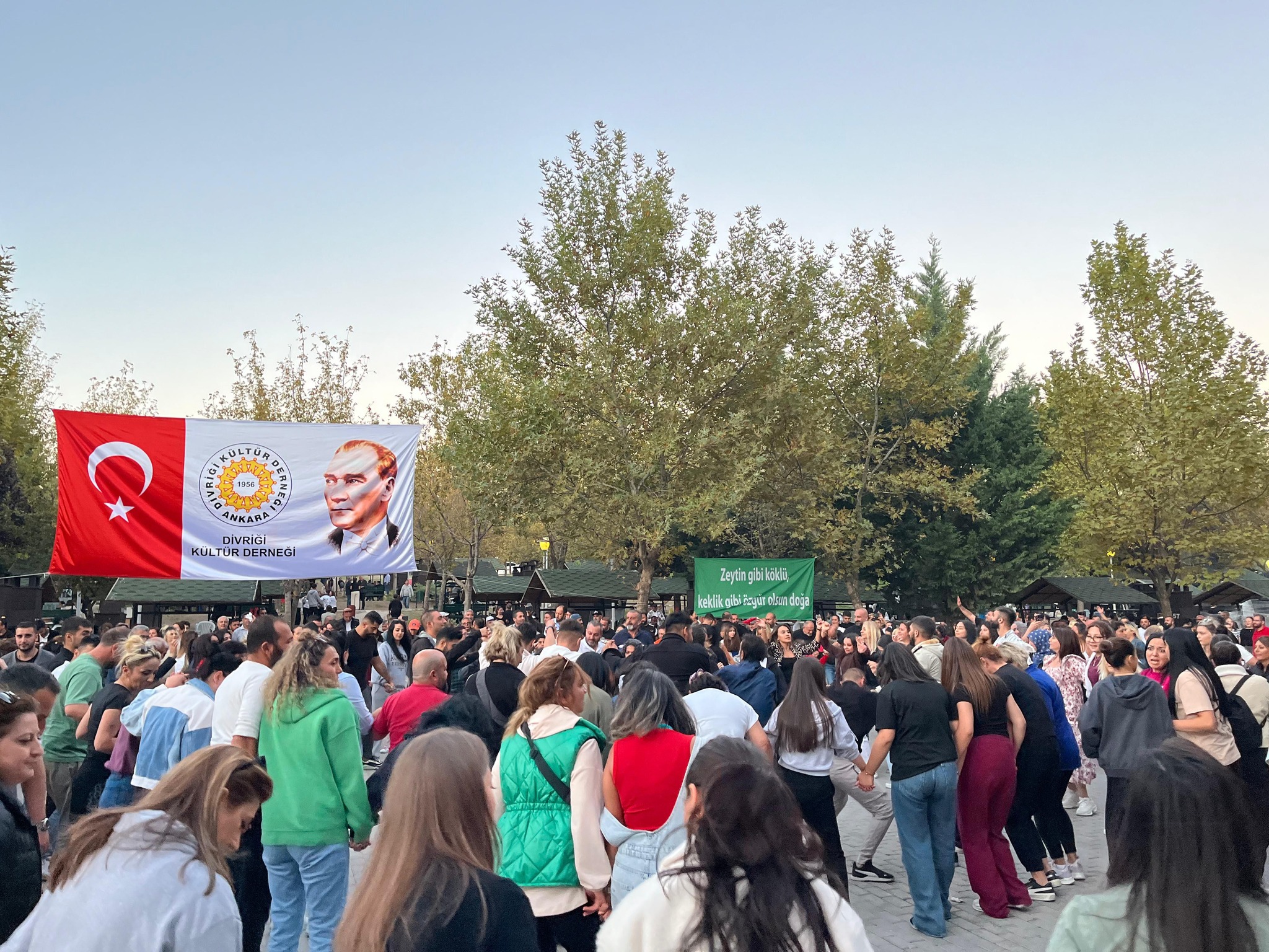 Divriği Şenlik