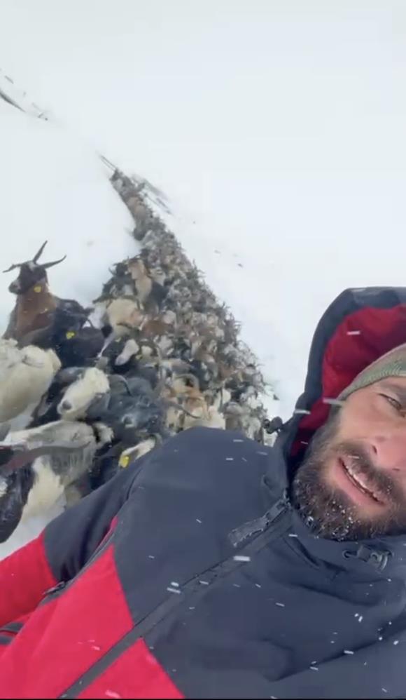 Eylül Ayında Yağan Karda, Hayvanlar Mahsur Kaldı!-1