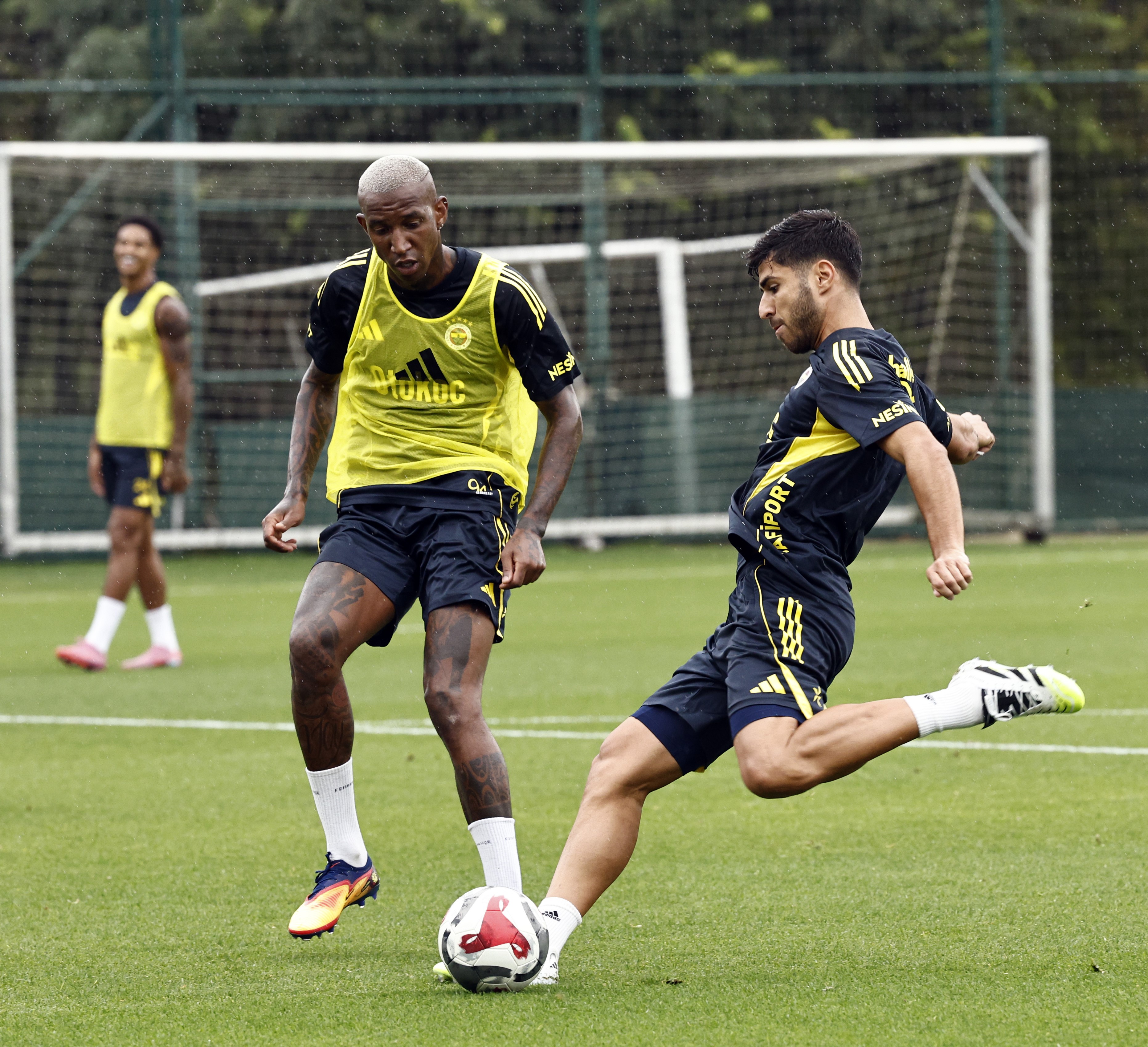 Fenerbahçe Milli Ara