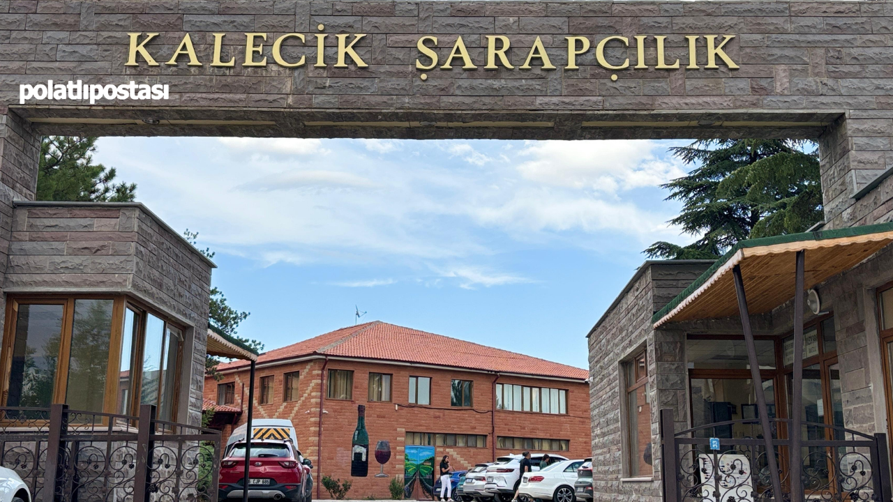 Kalecik Karası Üzümünü Don Vurdu Şarap Üretimi Darbe Aldı! (2)
