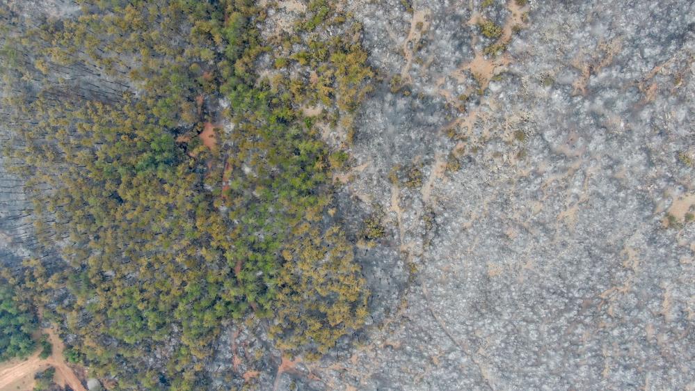 Kastamonu'daki Yangınının Izleri Havadan Görüntülendi! (2)