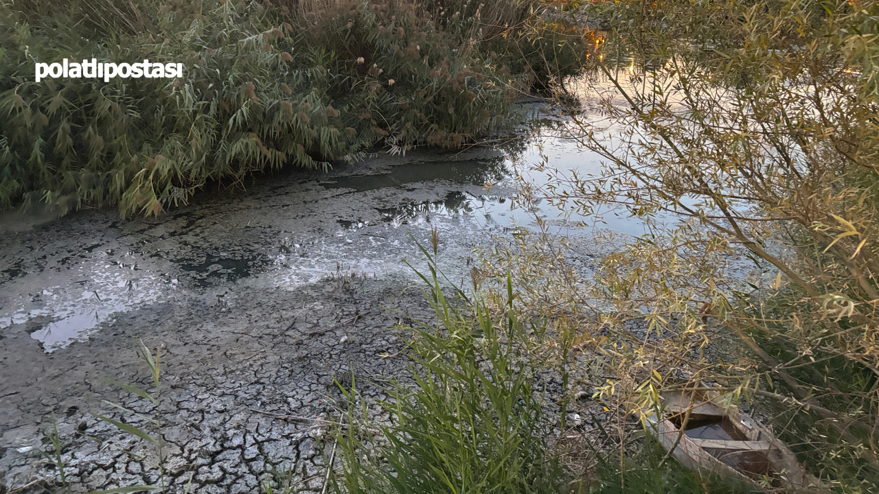 Mogan Gölü (3)