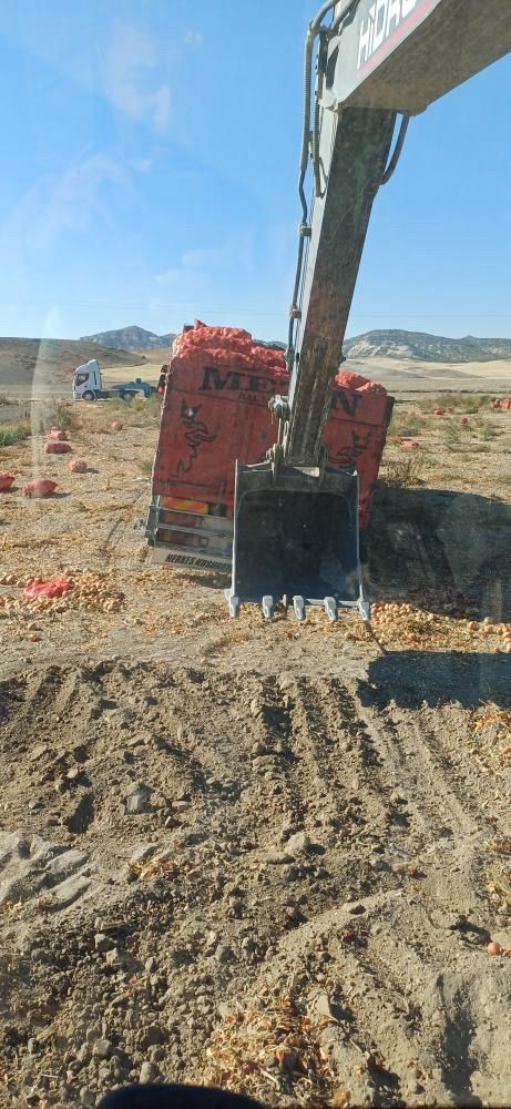 22 Ton Soğan Yüklü Tır Tarlaya Saplandı! (2)
