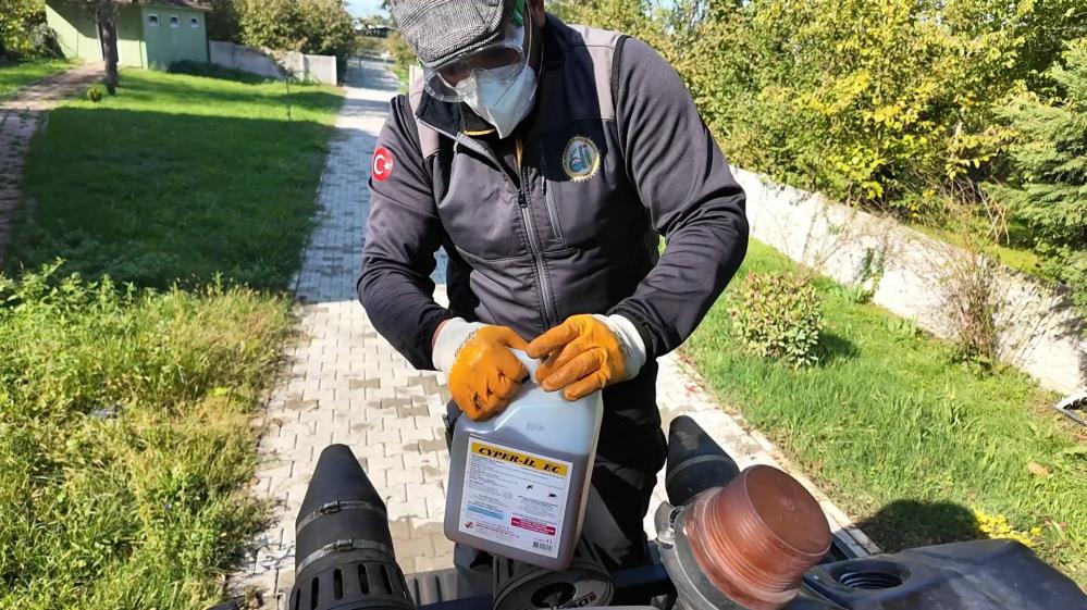 Kahverengi Kokarca Mücadelesi Hız Kazandı (2)