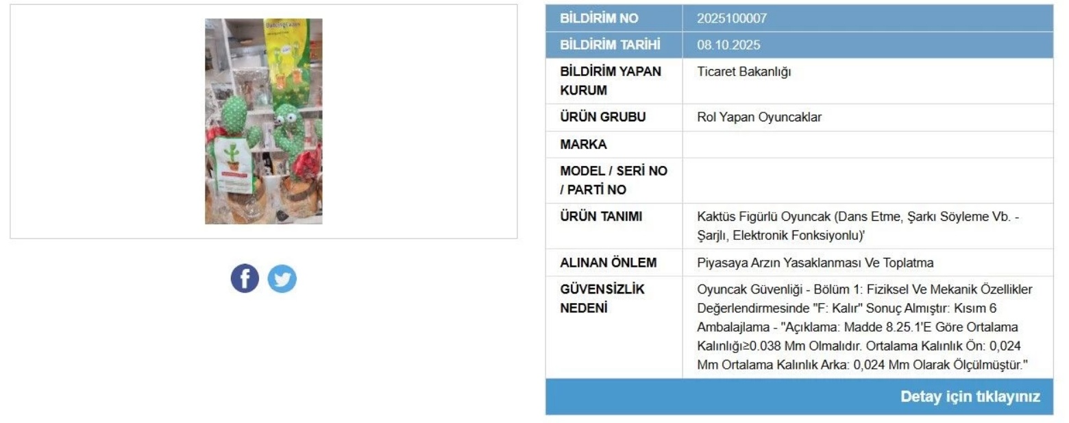 Konuşan Kaktüs 2