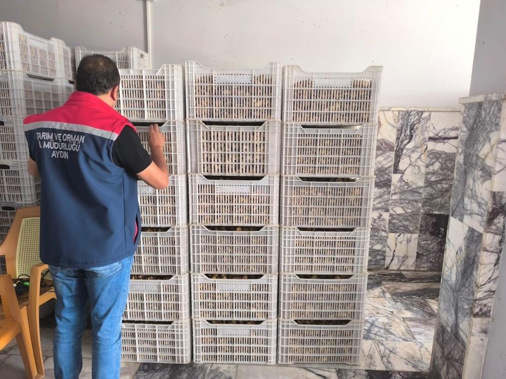 Kuru Incir Depolarına Sıkı Denetim (2)
