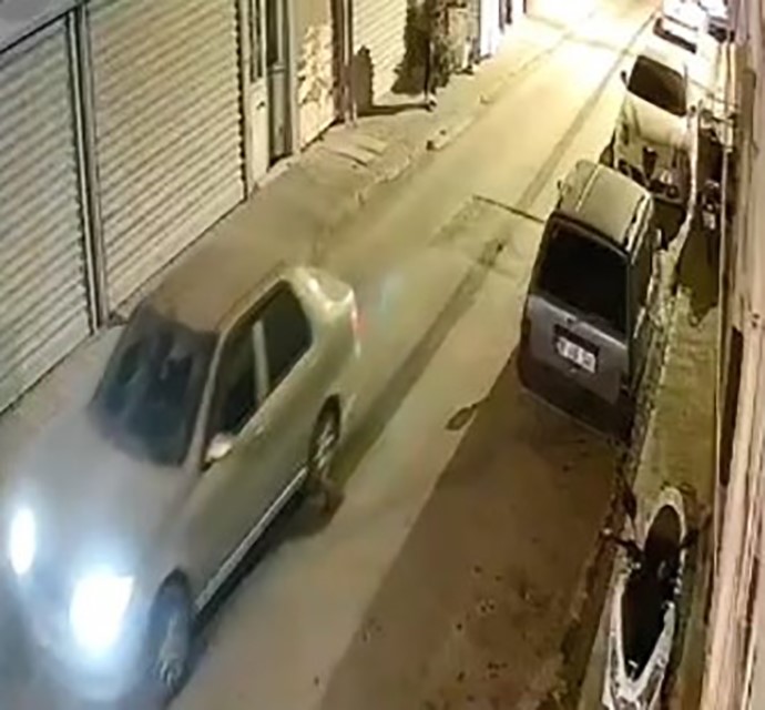 Nesli Tehlike Altındaki Hayvan Aracın Altında Telef Oldu (1)
