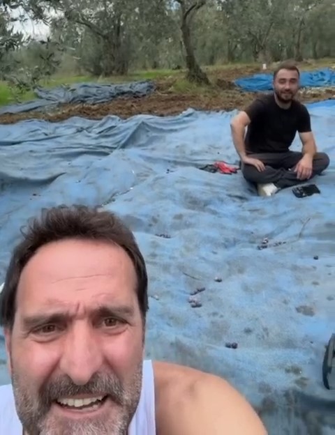 Ünlü Oyuncu Zeytinliğinde Ilk Hasadını Yaptı (2)